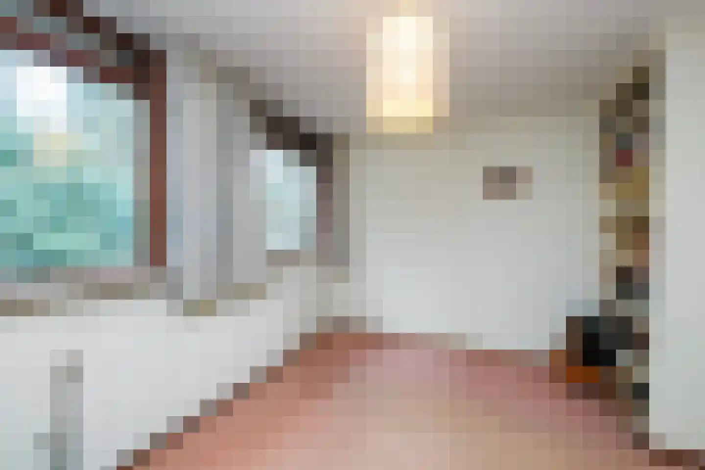 Fazantenbosweg 15 Dalfsen thumbnail 12