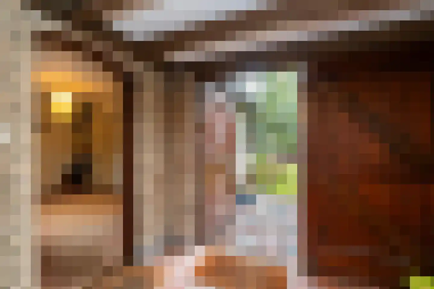 Fazantenbosweg 15 Dalfsen thumbnail 13