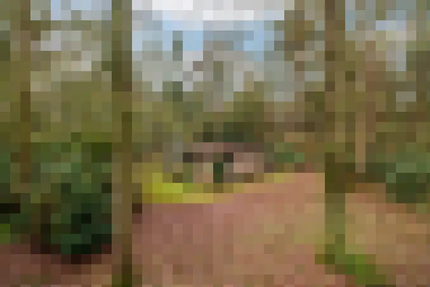 Fazantenbosweg 15 Dalfsen thumbnail 16