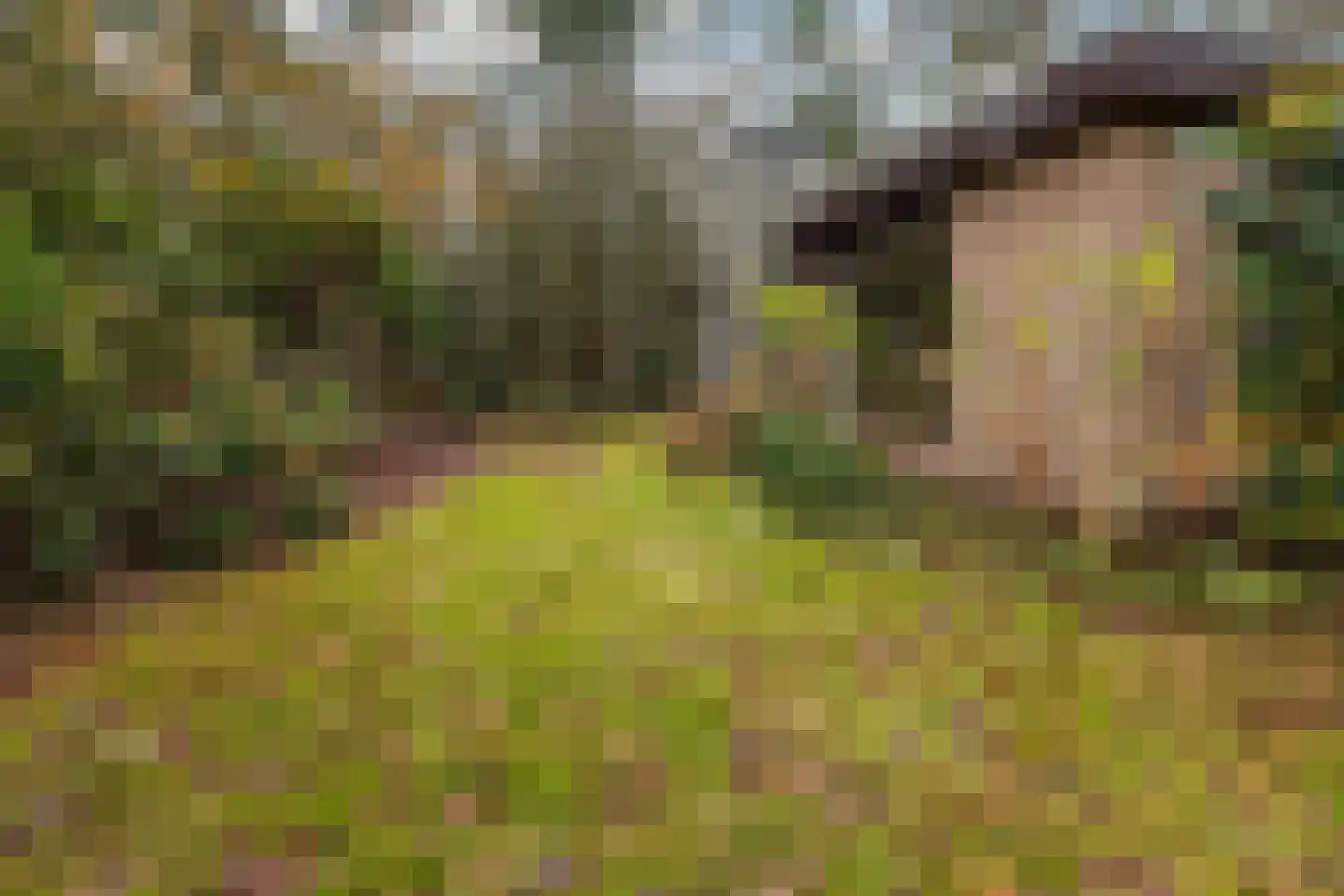 Fazantenbosweg 15 Dalfsen thumbnail 18