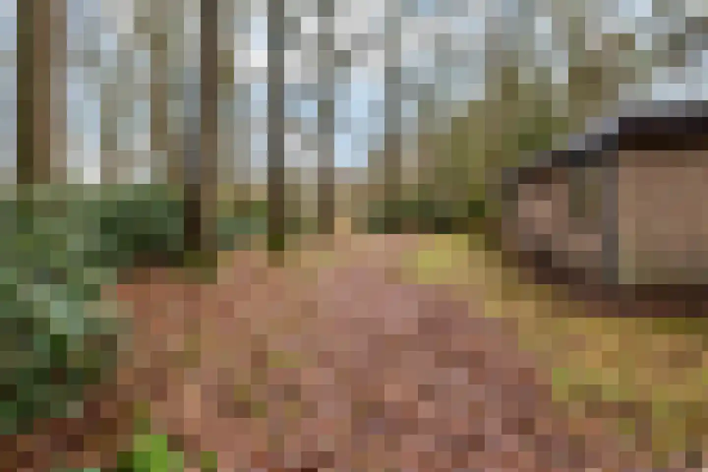 Fazantenbosweg 15 Dalfsen thumbnail 20