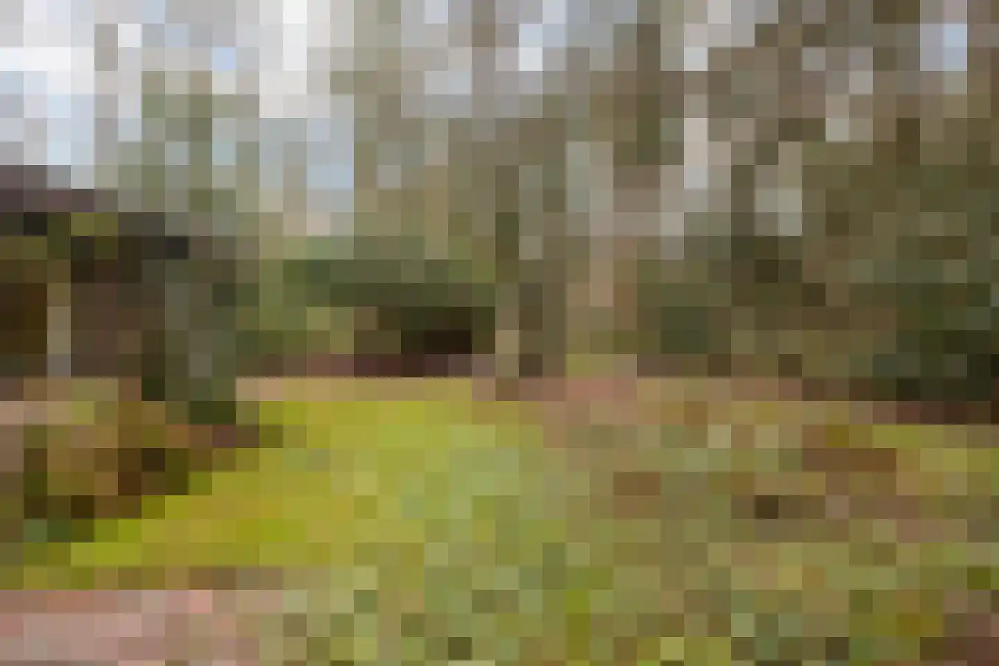 Fazantenbosweg 15 Dalfsen thumbnail 21