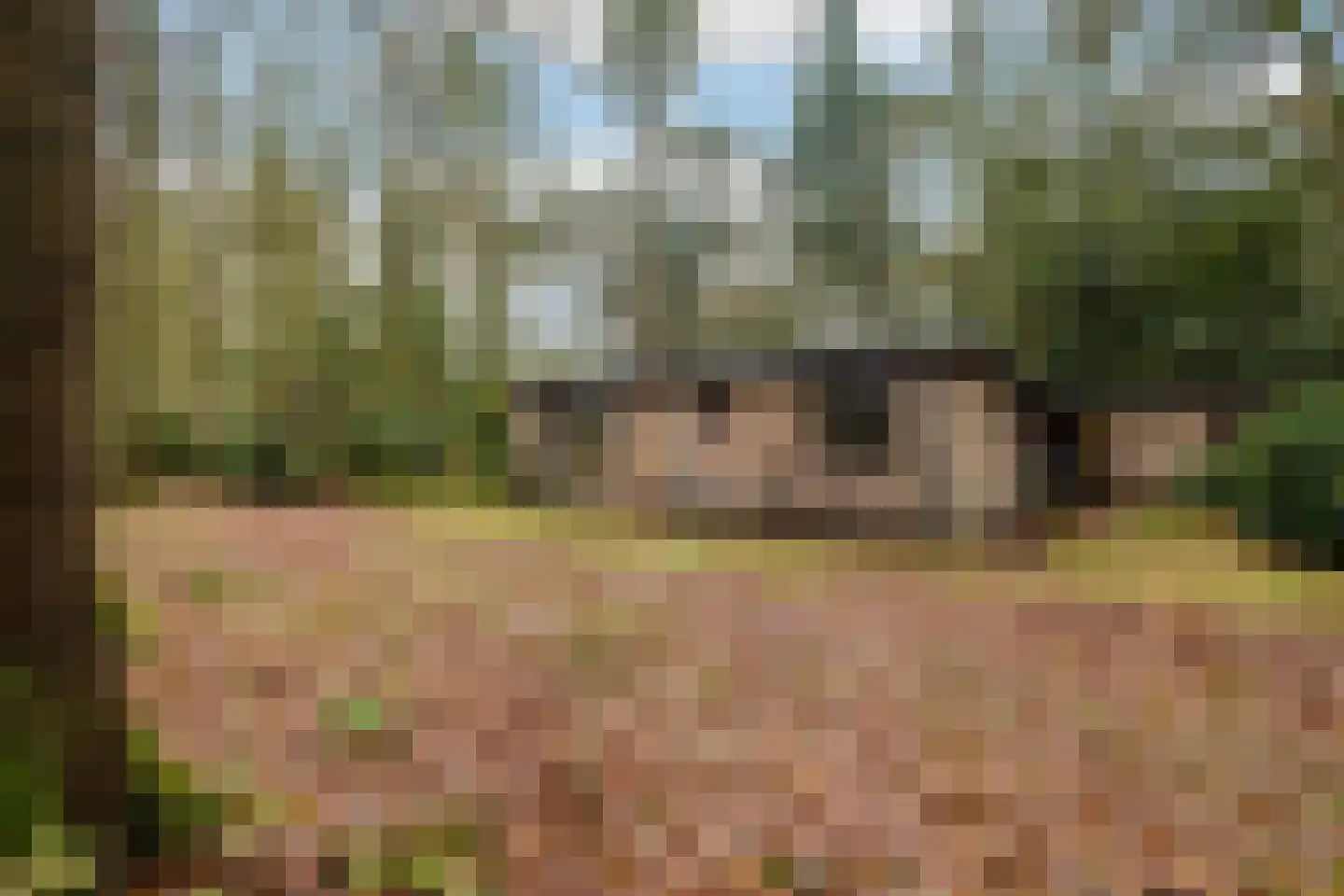 Fazantenbosweg 15 Dalfsen thumbnail 22