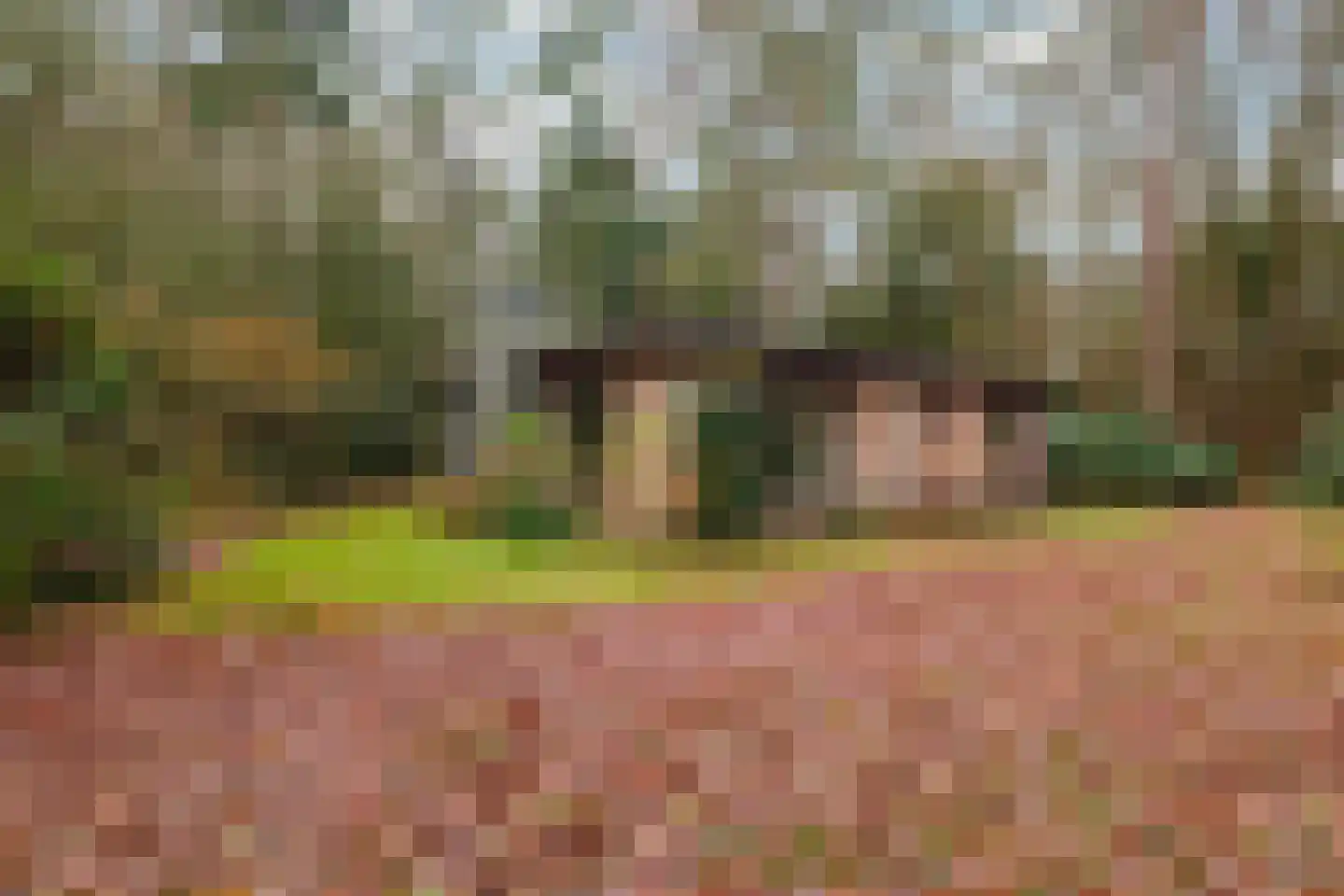 Fazantenbosweg 15 Dalfsen thumbnail 23