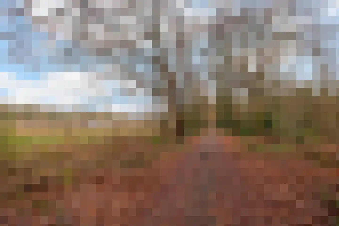 Fazantenbosweg 15 Dalfsen thumbnail 24