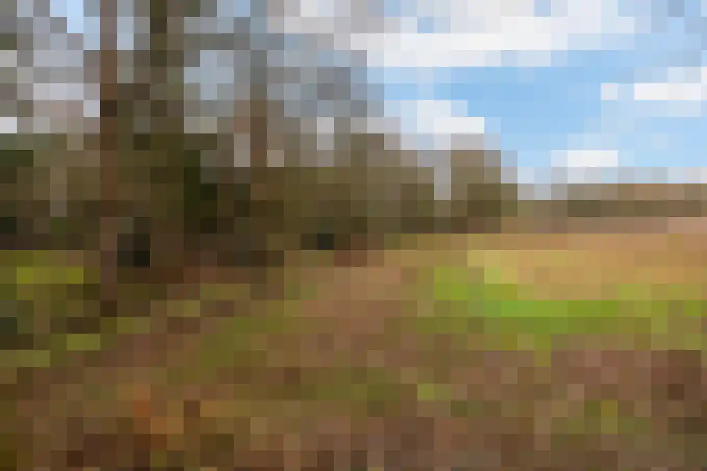 Fazantenbosweg 15 Dalfsen thumbnail 25
