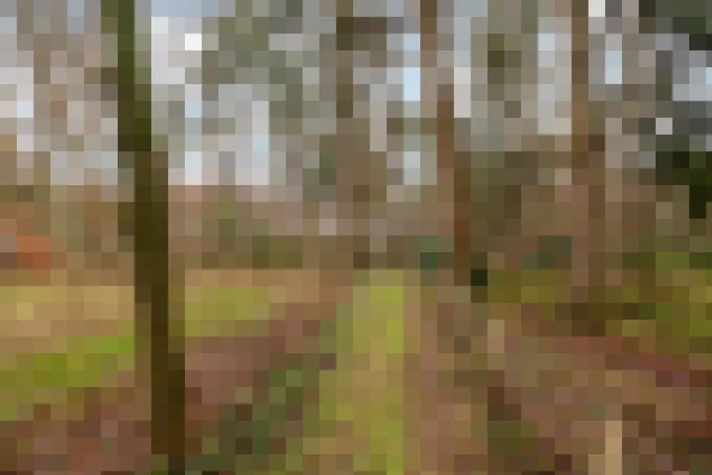 Fazantenbosweg 15 Dalfsen thumbnail 27