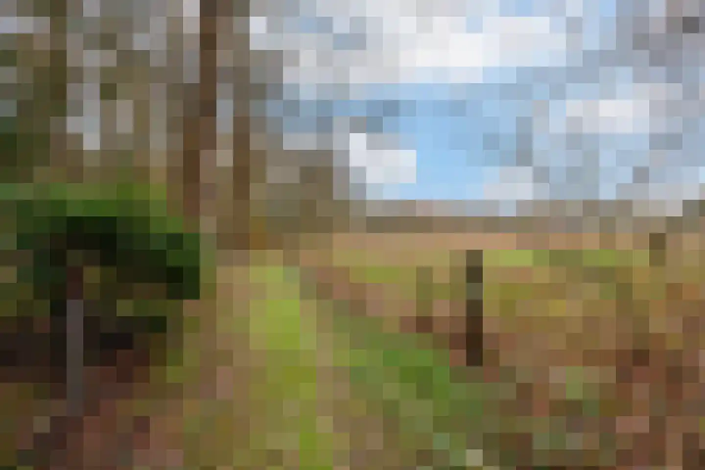 Fazantenbosweg 15 Dalfsen thumbnail 31