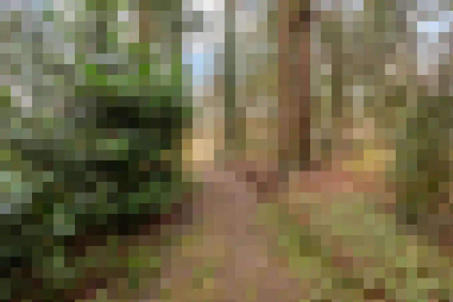 Fazantenbosweg 15 Dalfsen thumbnail 33