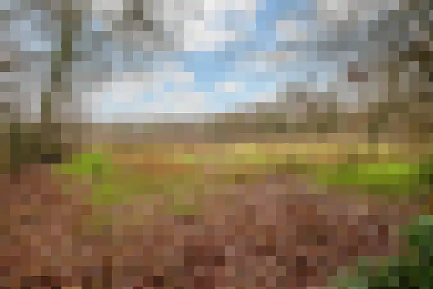 Fazantenbosweg 15 Dalfsen thumbnail 34