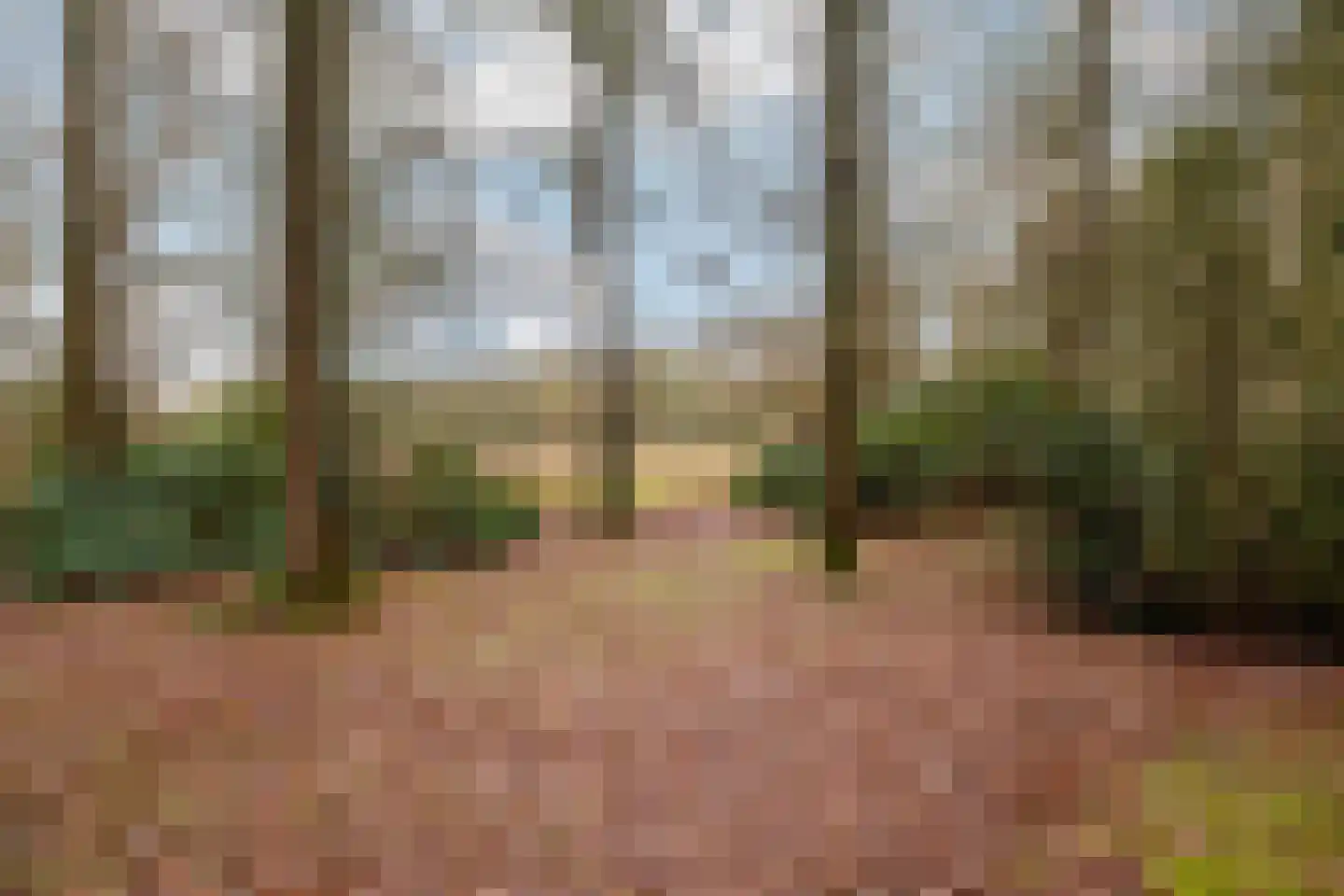 Fazantenbosweg 15 Dalfsen thumbnail 35