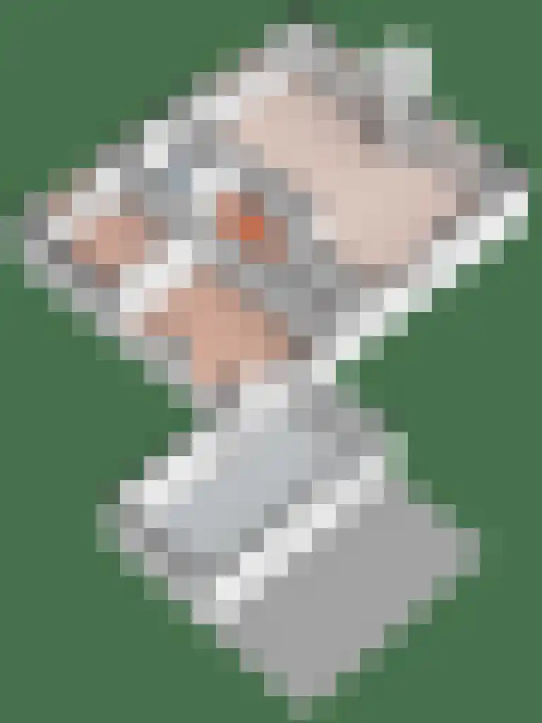 Fazantenbosweg 15 Dalfsen thumbnail 38