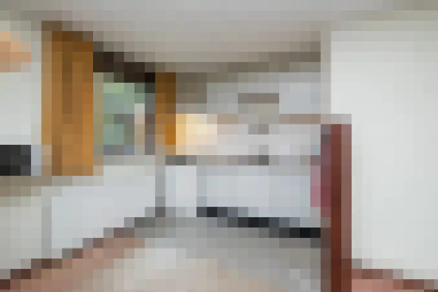 Fazantenbosweg 15 Dalfsen thumbnail 7