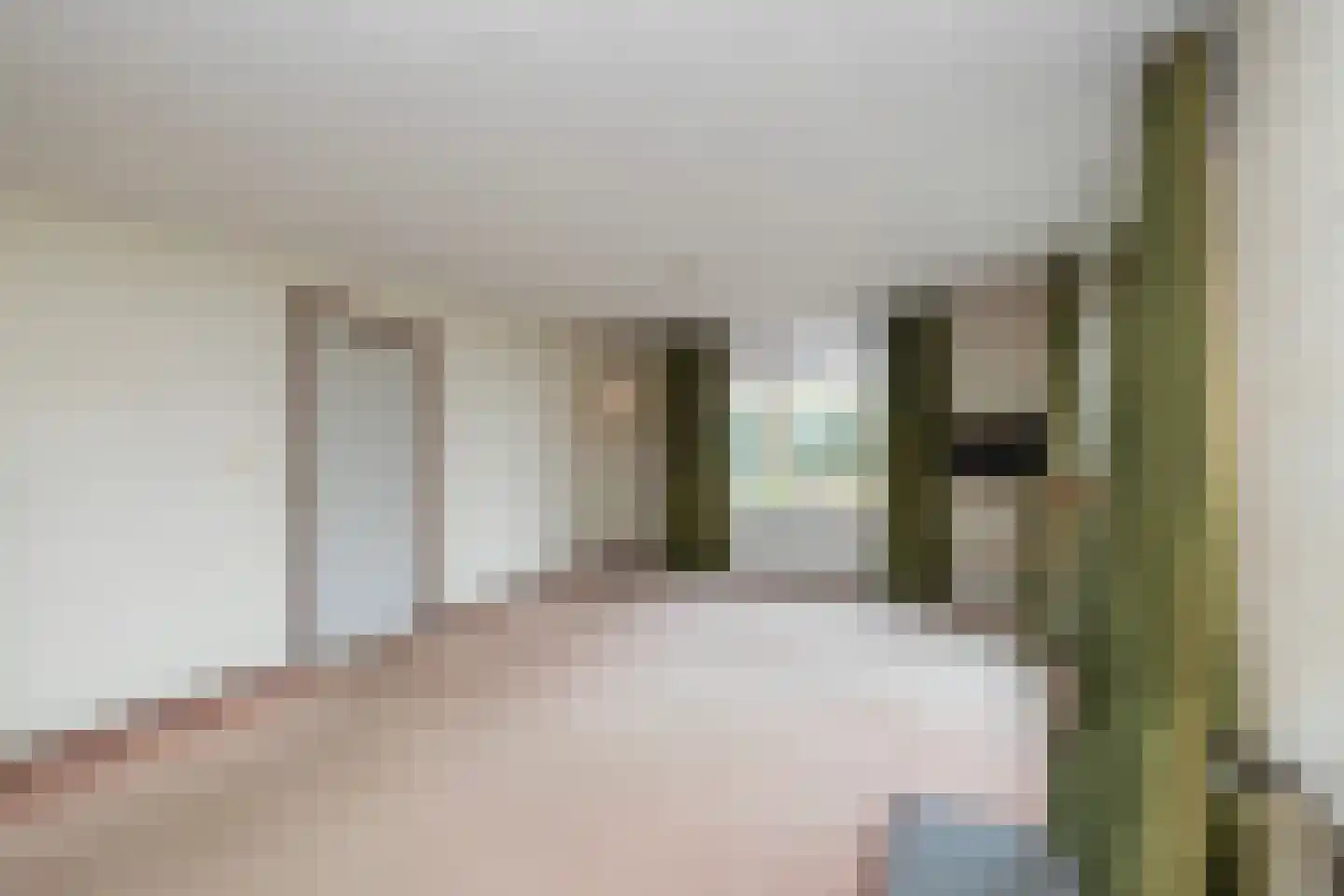 Fazantenbosweg 15 Dalfsen thumbnail 8