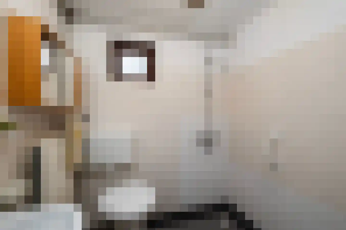 Fazantenbosweg 15 Dalfsen thumbnail 9