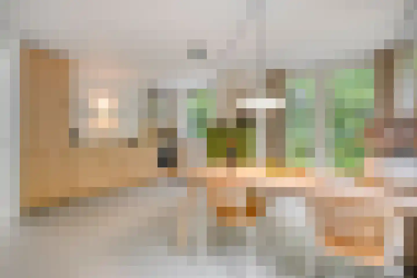Fazantenbosweg 17 Dalfsen thumbnail 11