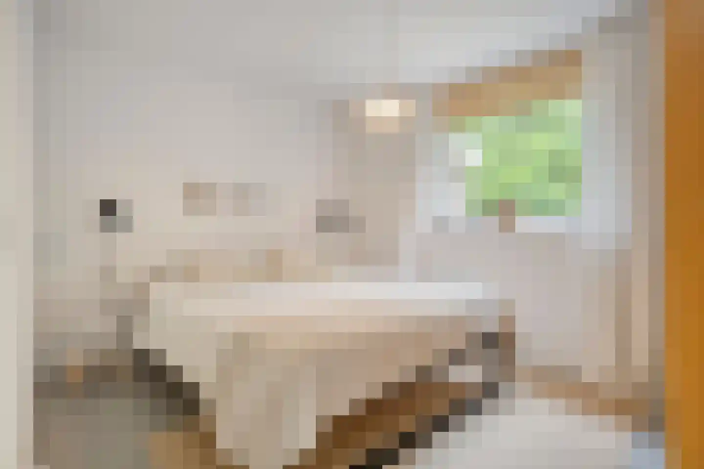 Fazantenbosweg 17 Dalfsen thumbnail 17