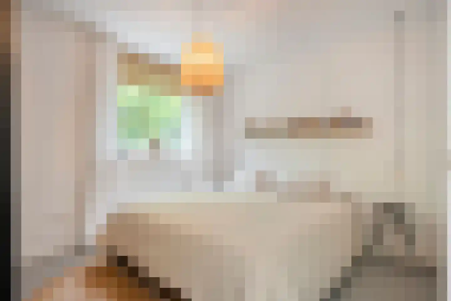 Fazantenbosweg 17 Dalfsen thumbnail 22