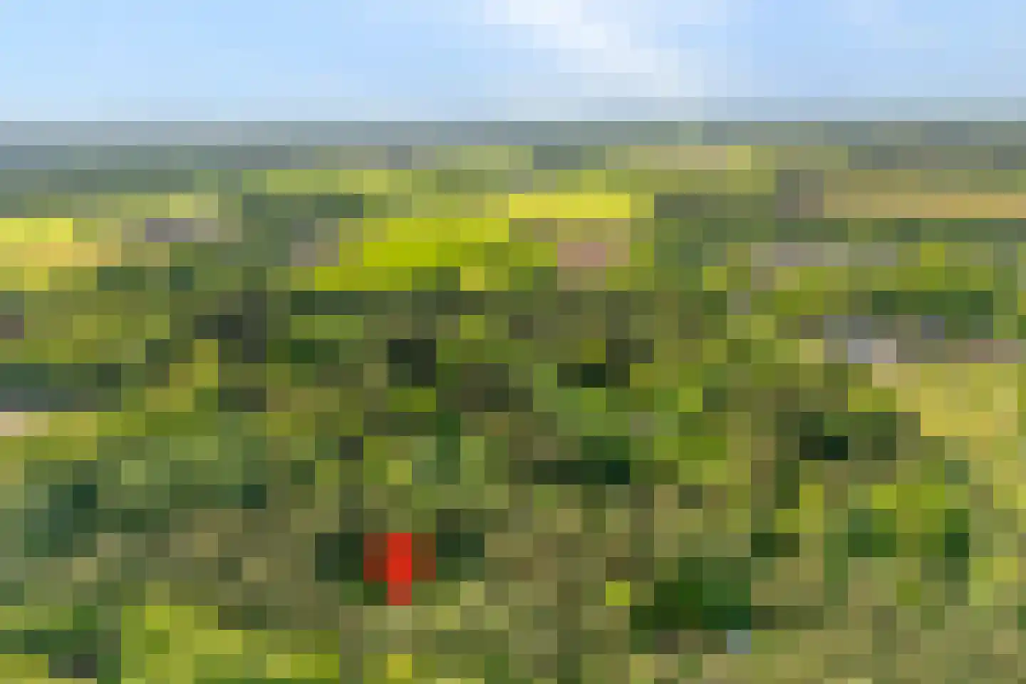 Fazantenbosweg 17 Dalfsen thumbnail 25