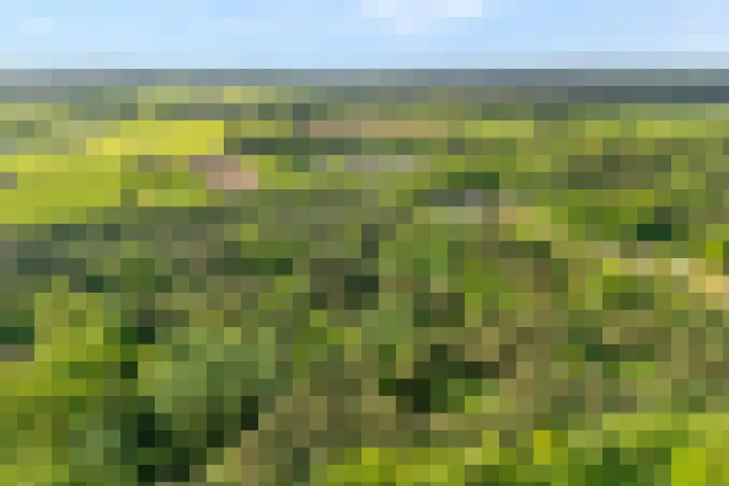 Fazantenbosweg 17 Dalfsen thumbnail 26