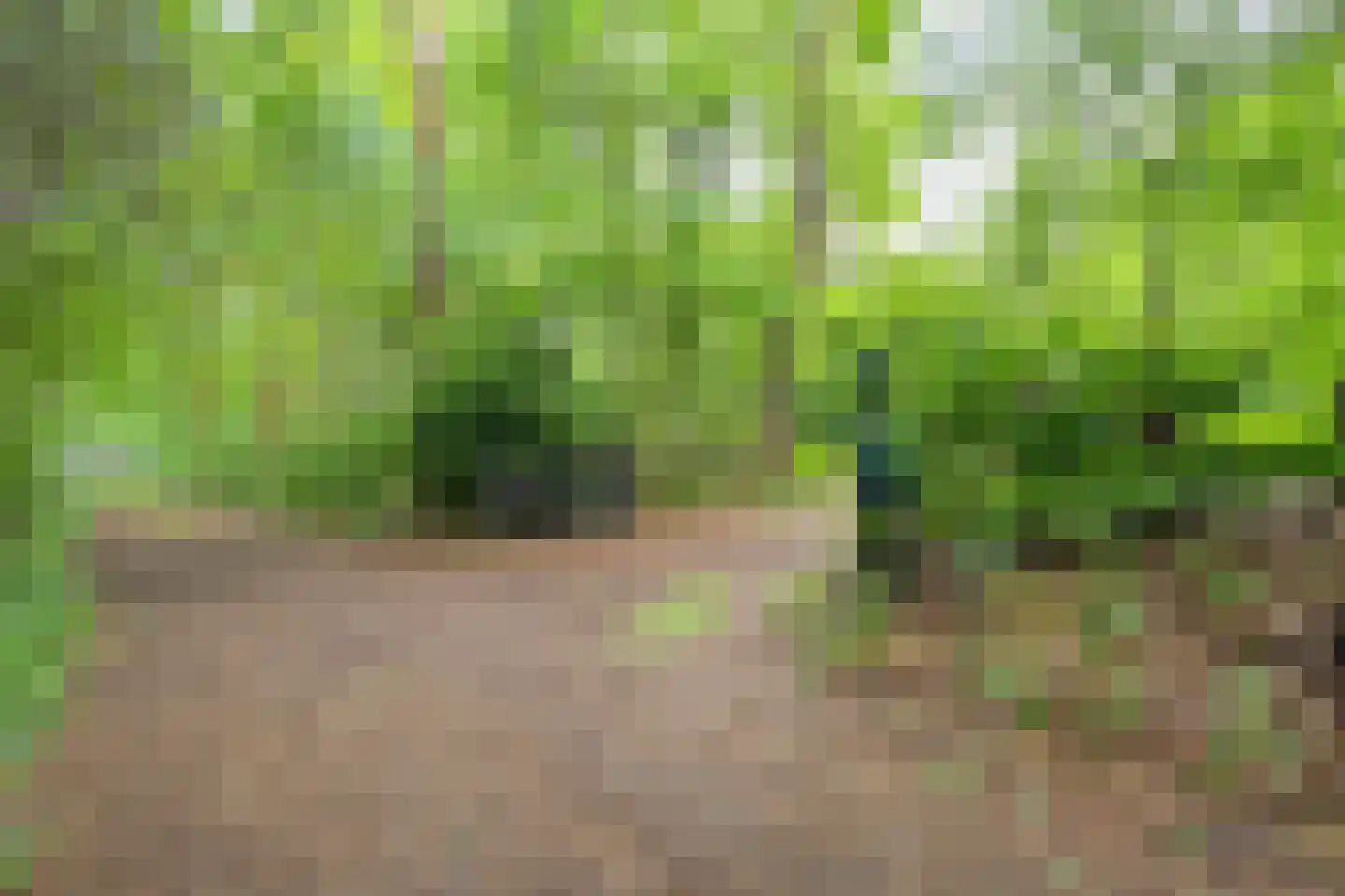 Fazantenbosweg 17 Dalfsen thumbnail 27