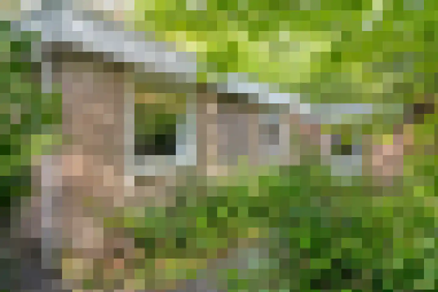 Fazantenbosweg 17 Dalfsen thumbnail 30