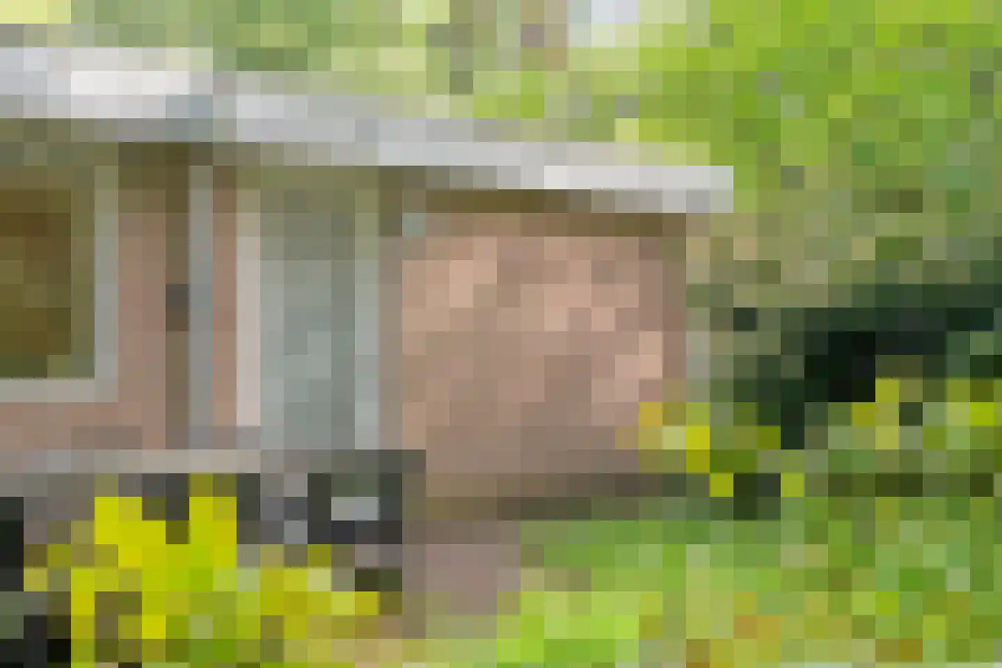 Fazantenbosweg 17 Dalfsen thumbnail 31