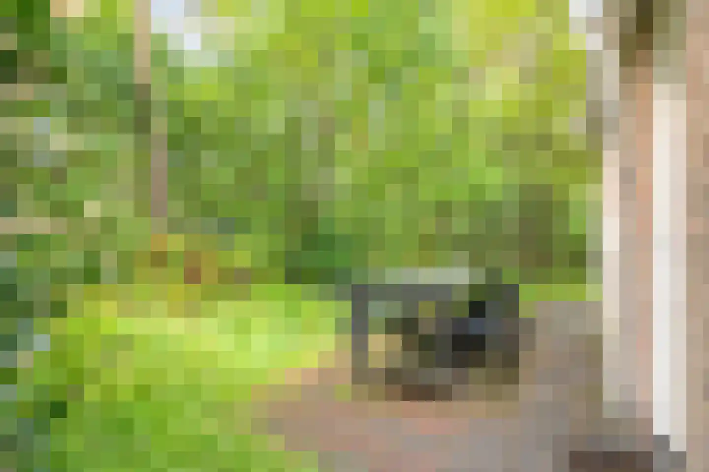 Fazantenbosweg 17 Dalfsen thumbnail 33