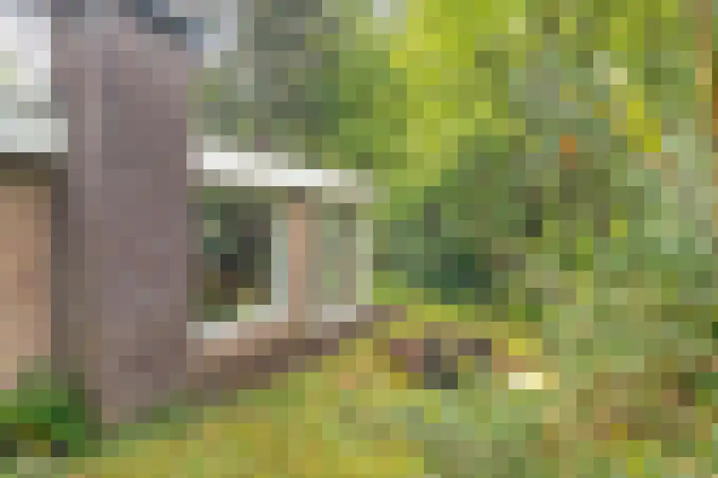 Fazantenbosweg 17 Dalfsen thumbnail 37