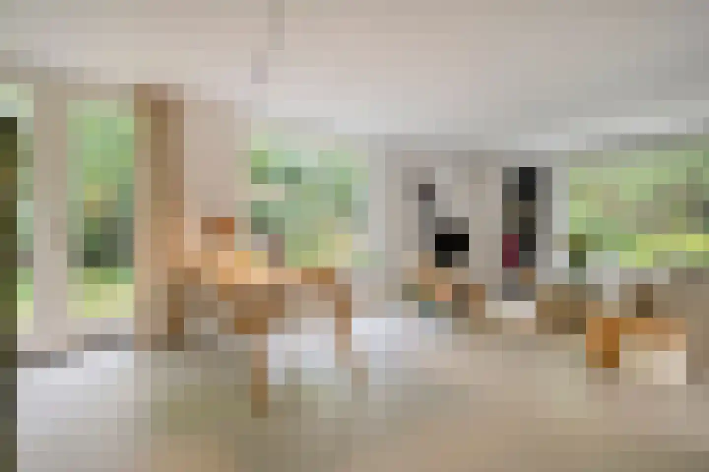 Fazantenbosweg 17 Dalfsen thumbnail 6