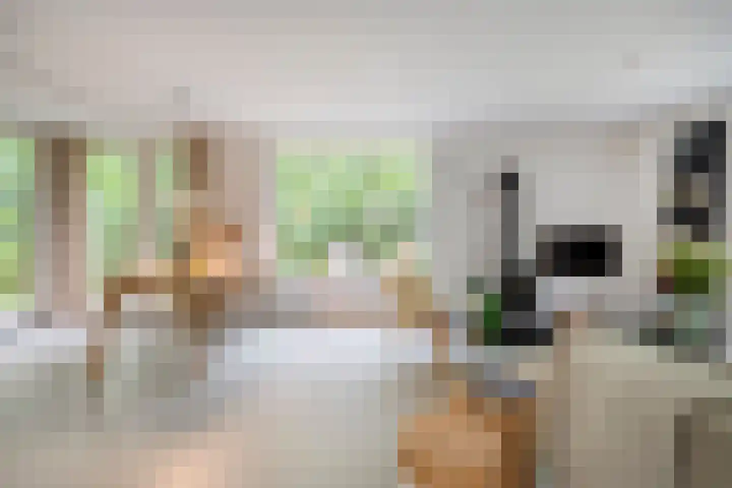 Fazantenbosweg 17 Dalfsen thumbnail 8