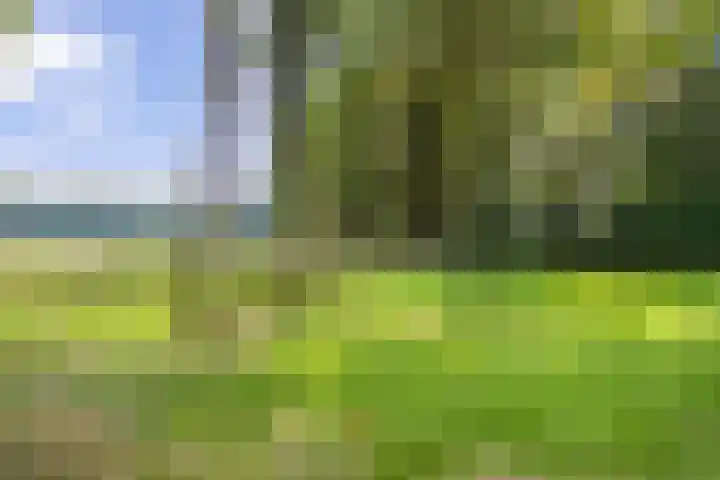 Fazantenbosweg 4 A Dalfsen thumbnail 10
