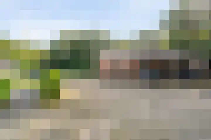 Fazantenbosweg 4 A Dalfsen thumbnail 12