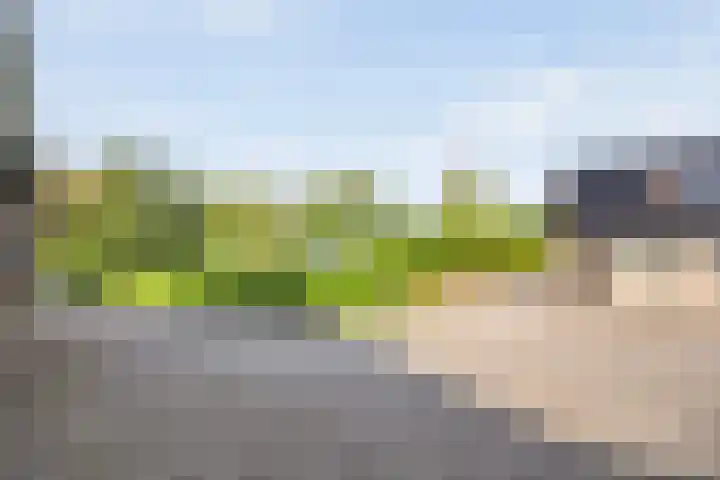 Fazantenbosweg 4 A Dalfsen thumbnail 13