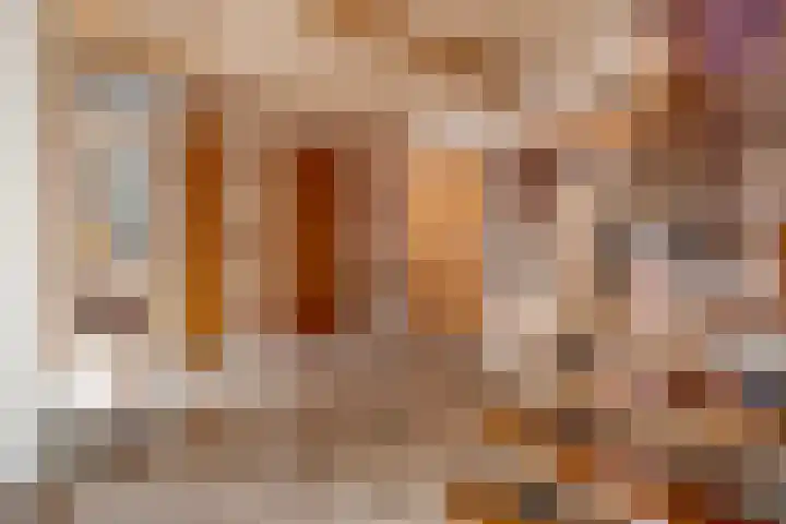 Fazantenbosweg 4 A Dalfsen thumbnail 15