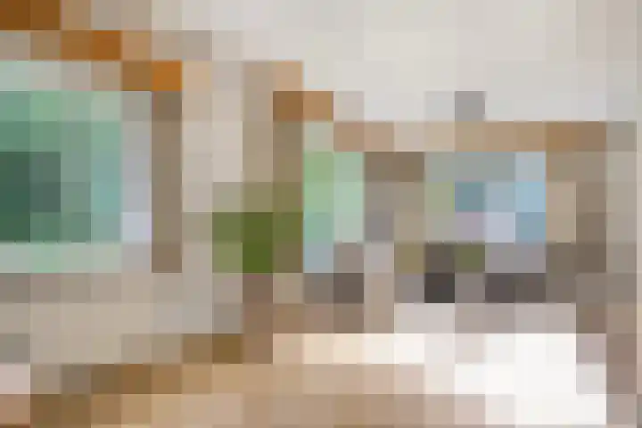 Fazantenbosweg 4 A Dalfsen thumbnail 16