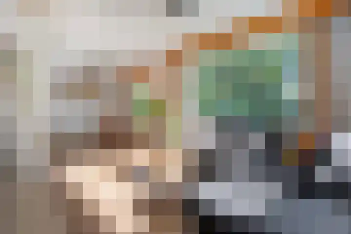 Fazantenbosweg 4 A Dalfsen thumbnail 18