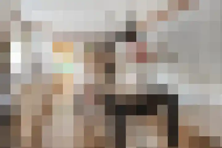 Fazantenbosweg 4 A Dalfsen thumbnail 19
