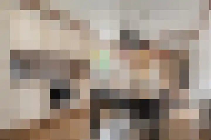 Fazantenbosweg 4 A Dalfsen thumbnail 20
