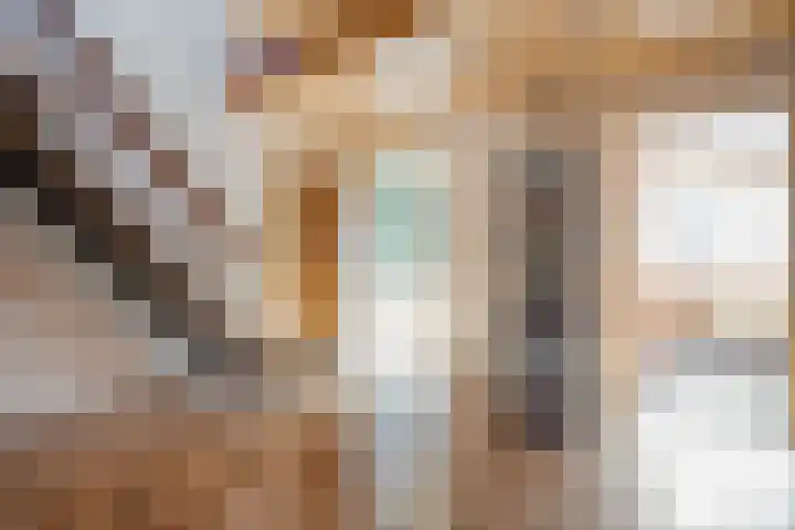 Fazantenbosweg 4 A Dalfsen thumbnail 22