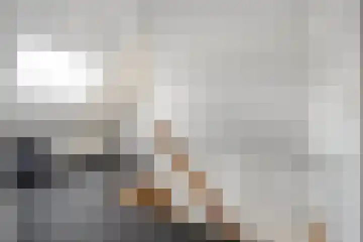 Fazantenbosweg 4 A Dalfsen thumbnail 29