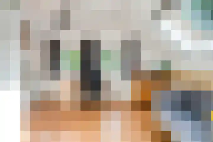 Fazantenbosweg 4 A Dalfsen thumbnail 31