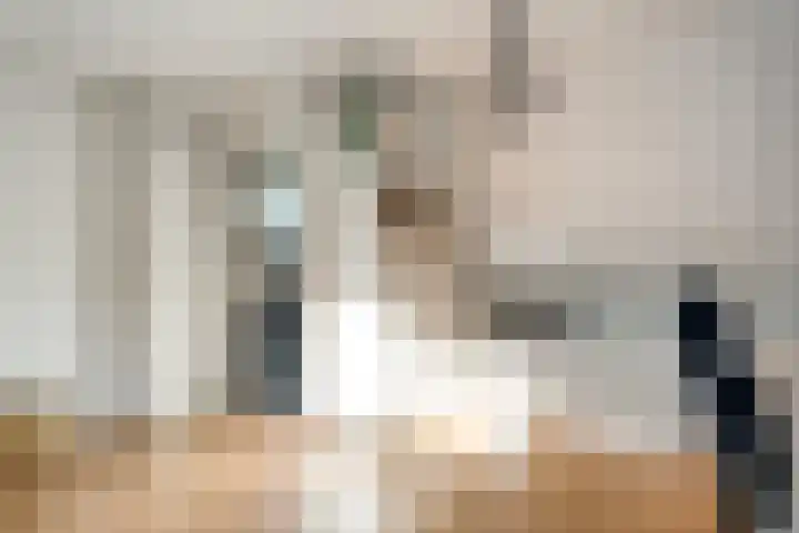 Fazantenbosweg 4 A Dalfsen thumbnail 32