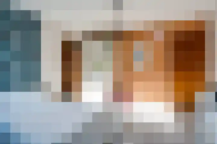 Fazantenbosweg 4 A Dalfsen thumbnail 34