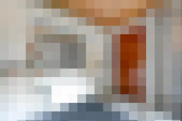 Fazantenbosweg 4 A Dalfsen thumbnail 36