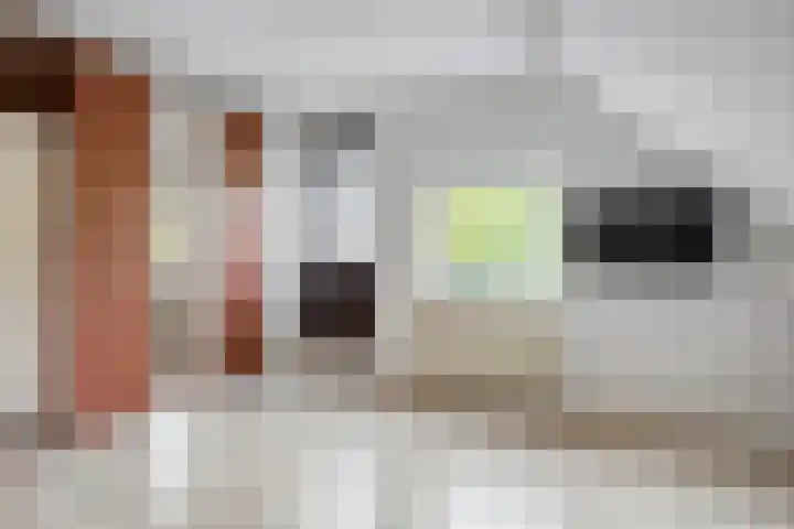 Fazantenbosweg 4 A Dalfsen thumbnail 37