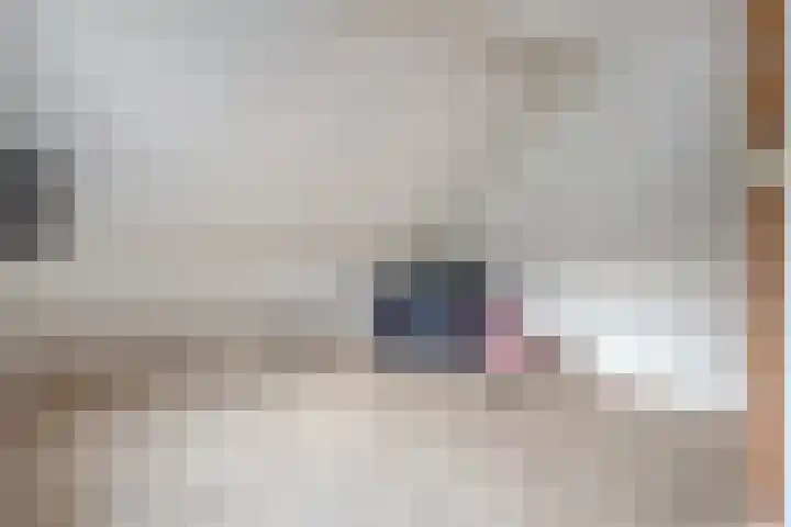 Fazantenbosweg 4 A Dalfsen thumbnail 38