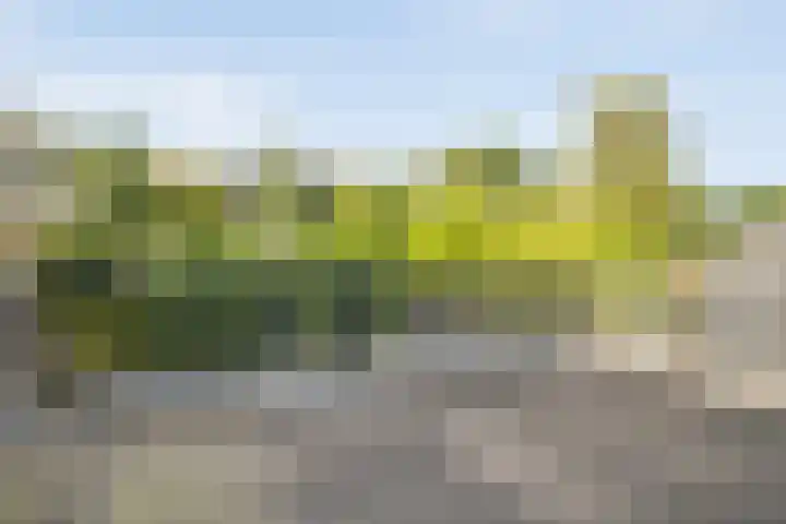 Fazantenbosweg 4 A Dalfsen thumbnail 39