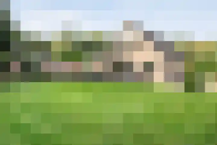 Fazantenbosweg 4 A Dalfsen thumbnail 4