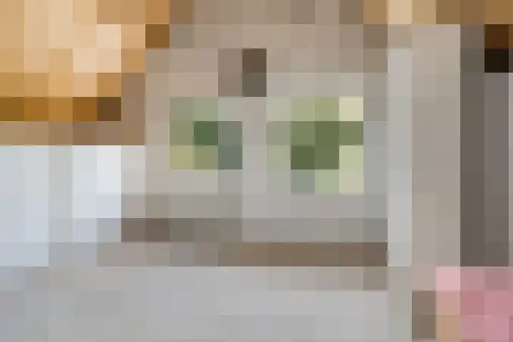 Fazantenbosweg 4 A Dalfsen thumbnail 40